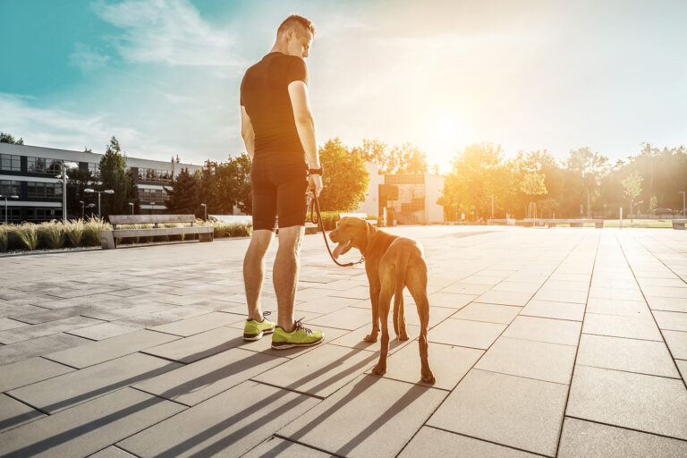 Chicago rentals with dog run